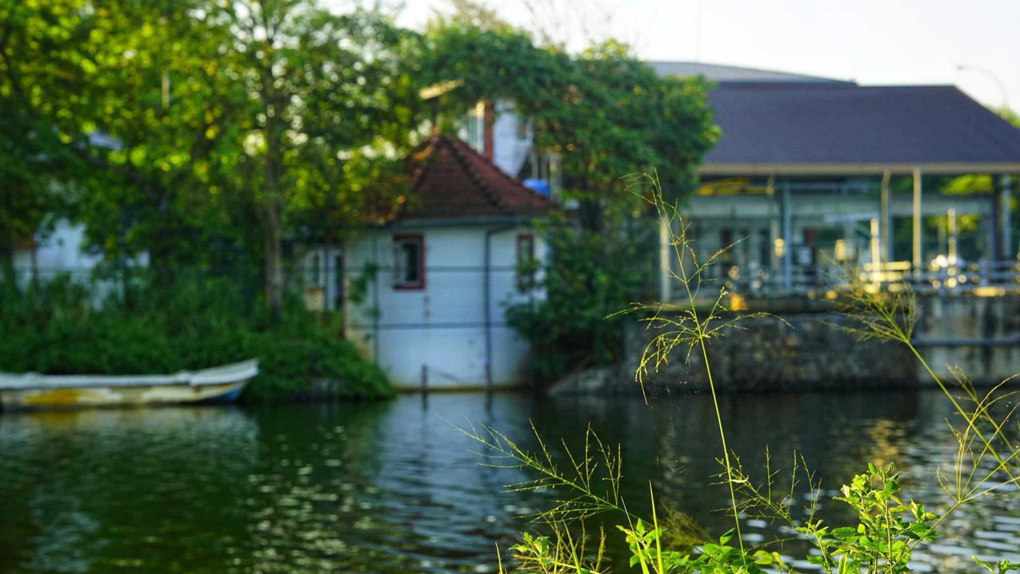 Lake Island Home Stay Dambulla Exterior photo
